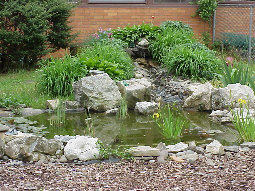 photo of Harmony Pond