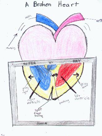 Ajay's Drawing