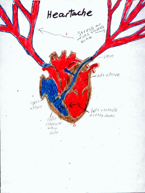 Danny's Drawing