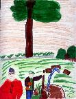 measuring around the pond drawing