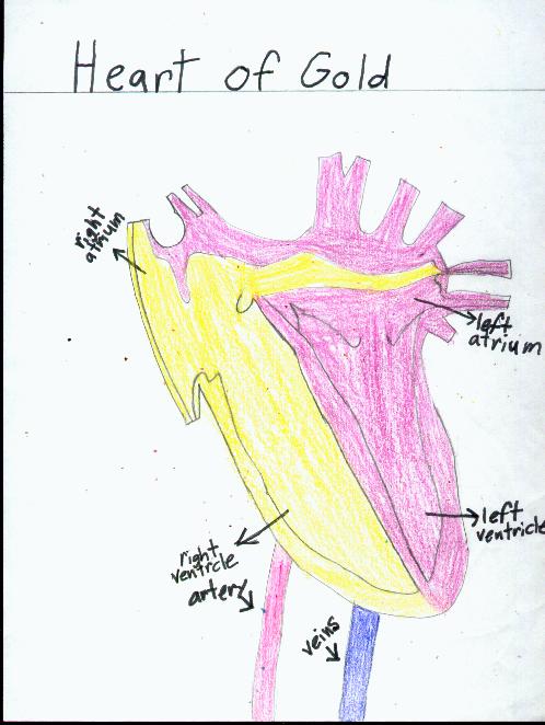 Jennie's Drawing