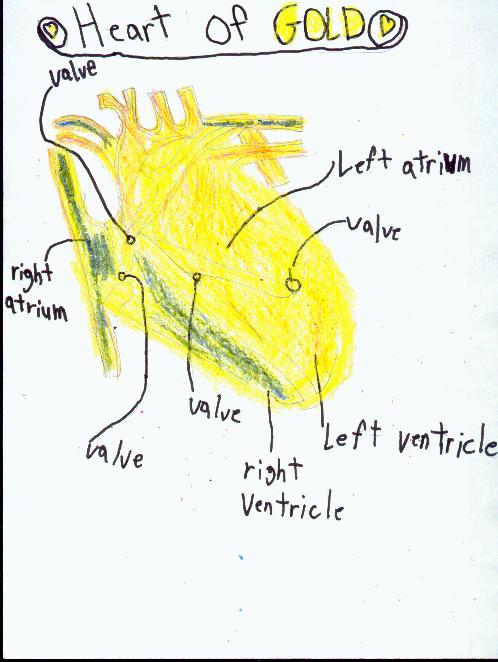 Kristin's drawing