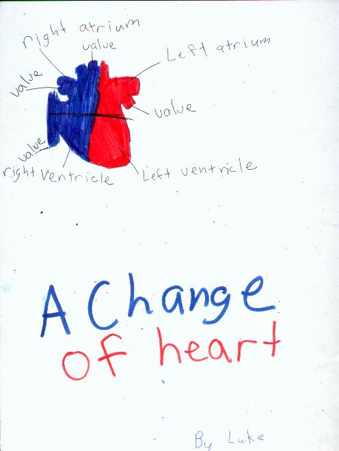 Luke's Drawing