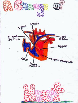 Sera's drawing
